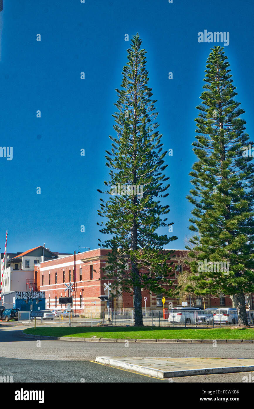 Fremantle Circus Schule Stockfoto