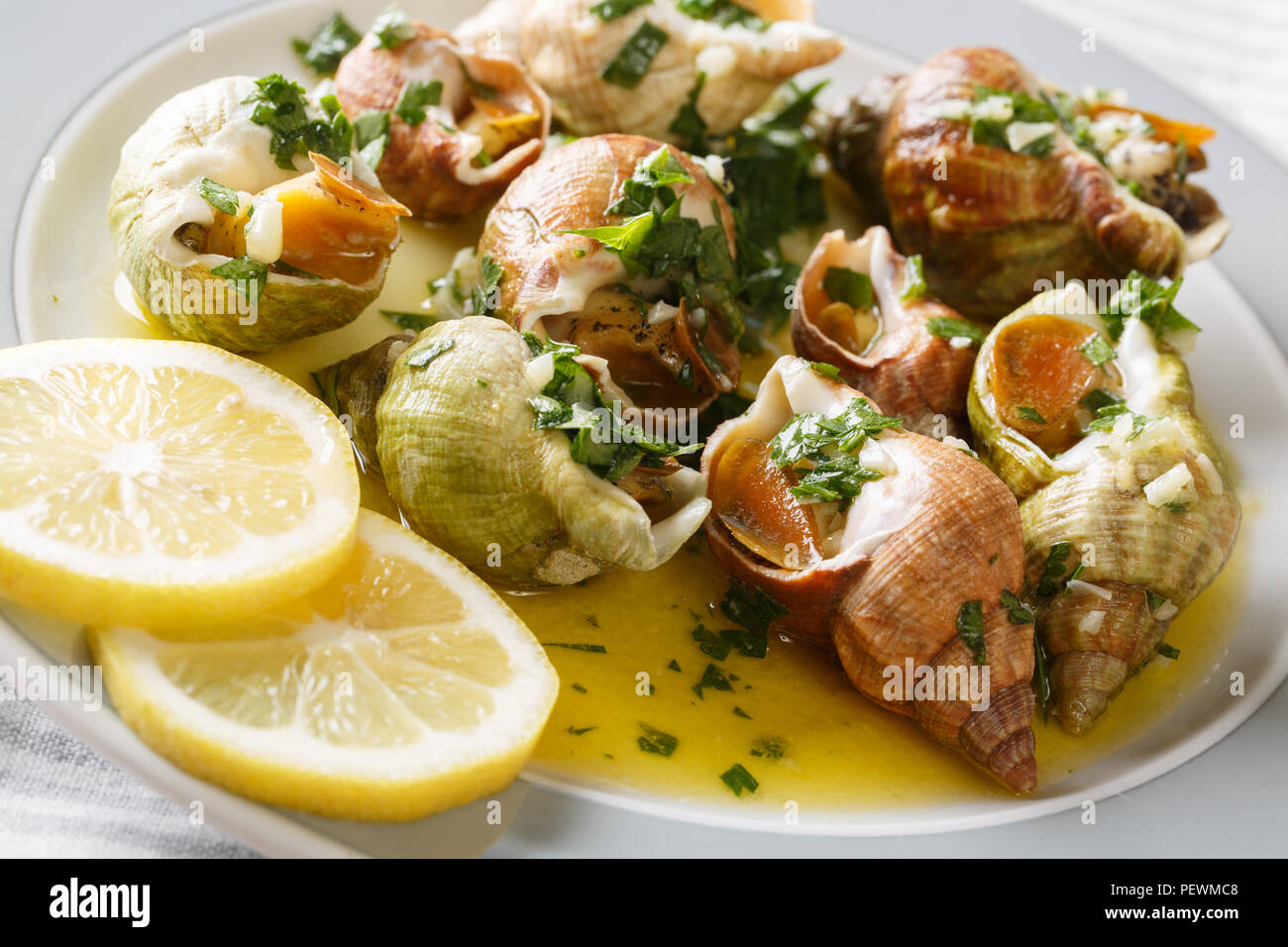 Französische Küche: seeschnecken bulot mit Knoblauch und Zitrone close-up auf einem Teller. Horizontale Stockfoto