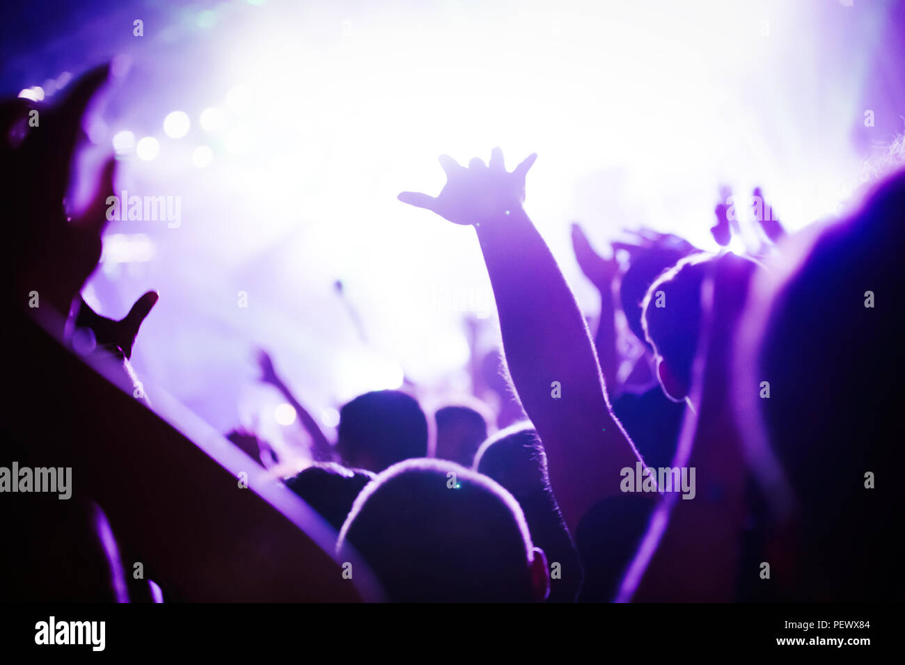 Jubelnde Menge bei Konzert Musik Performance Stockfoto