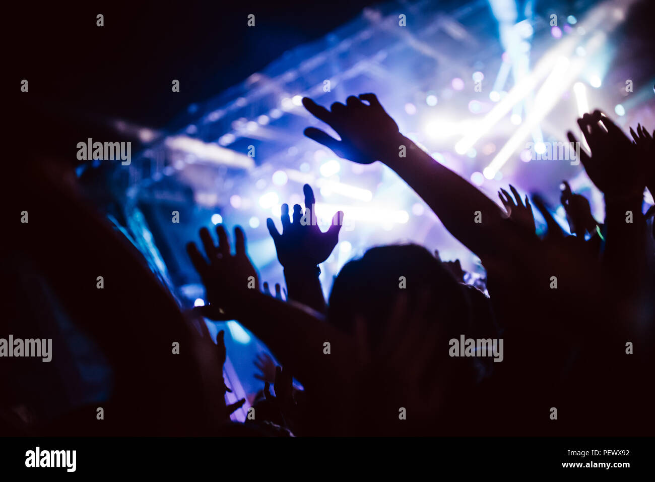 Jubelnde Menge bei Konzert Musik Performance Stockfoto