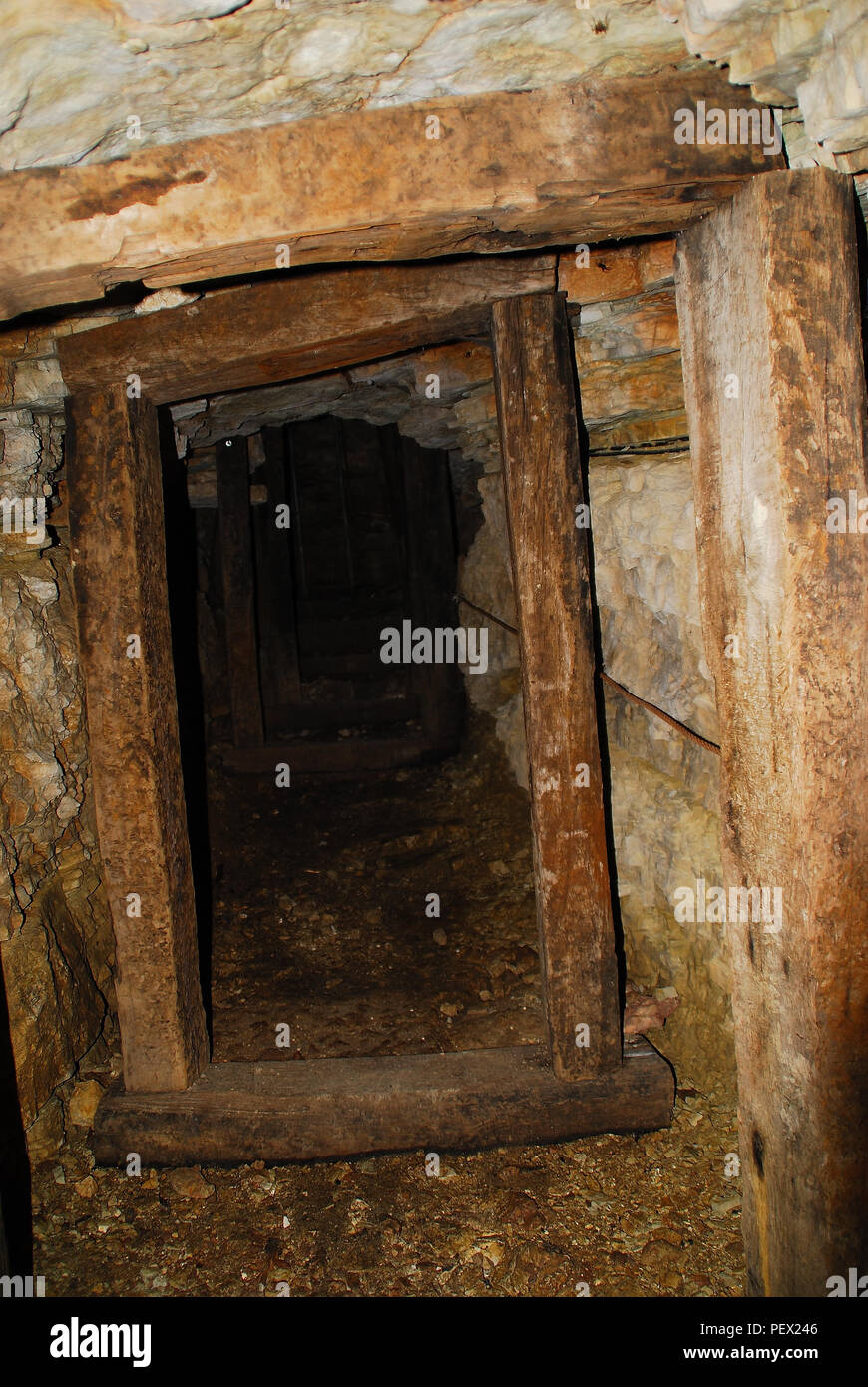 Venetien, Italien. Monte Grappa, Ort Col Campeggia, Italienisch Tunnel. Die Gräben von der ersten Zeile mit der Schutzhütten verbunden. Ereignisse, die vor hundert Jahren stattfand, aber in diesem Bereich scheinen zu einer näheren Vergangenheit angehören: die gleichen majestätischen Landschaft, die Berglandschaft der Prealpi Costa Vicentina, ist noch stark von vielen Spuren von einer der tragischsten Ereignisse in der Geschichte der Menschheit markiert. - Venetien, Italien. Monte Grappa, Località Col Campeggia, Tunnel italiano che collegava Le trincee Di Prima Linea con Ich rifugi in Grotta. Stockfoto