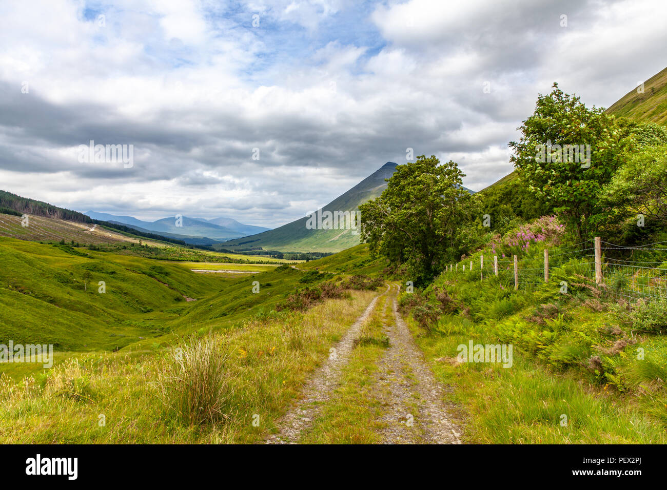 Schottland Highlands Mistic Landschaft in Brücke von orchy Natur Reisen Great Britan Stockfoto
