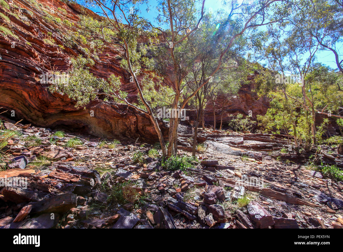 Outback Schlucht mit roten Felsen und Bäume Stockfoto