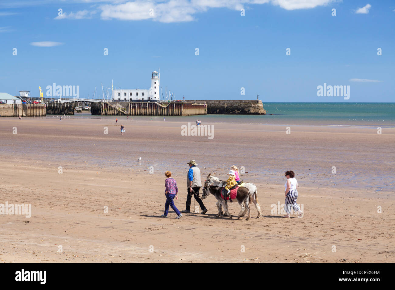 Scarborough Beach eselreiten am Strand von South Bay scarborough England yorkshire North Yorkshire England Scarborough Großbritannien gb Europa Stockfoto