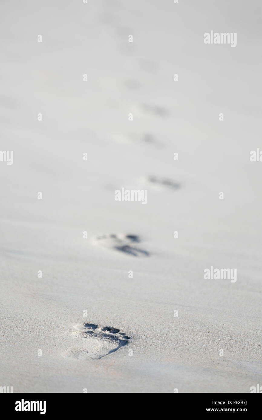 Fußabdrücke auf einem Strand in Mahe, Seychellen mit Fokus auf den Vordergrund. Stockfoto