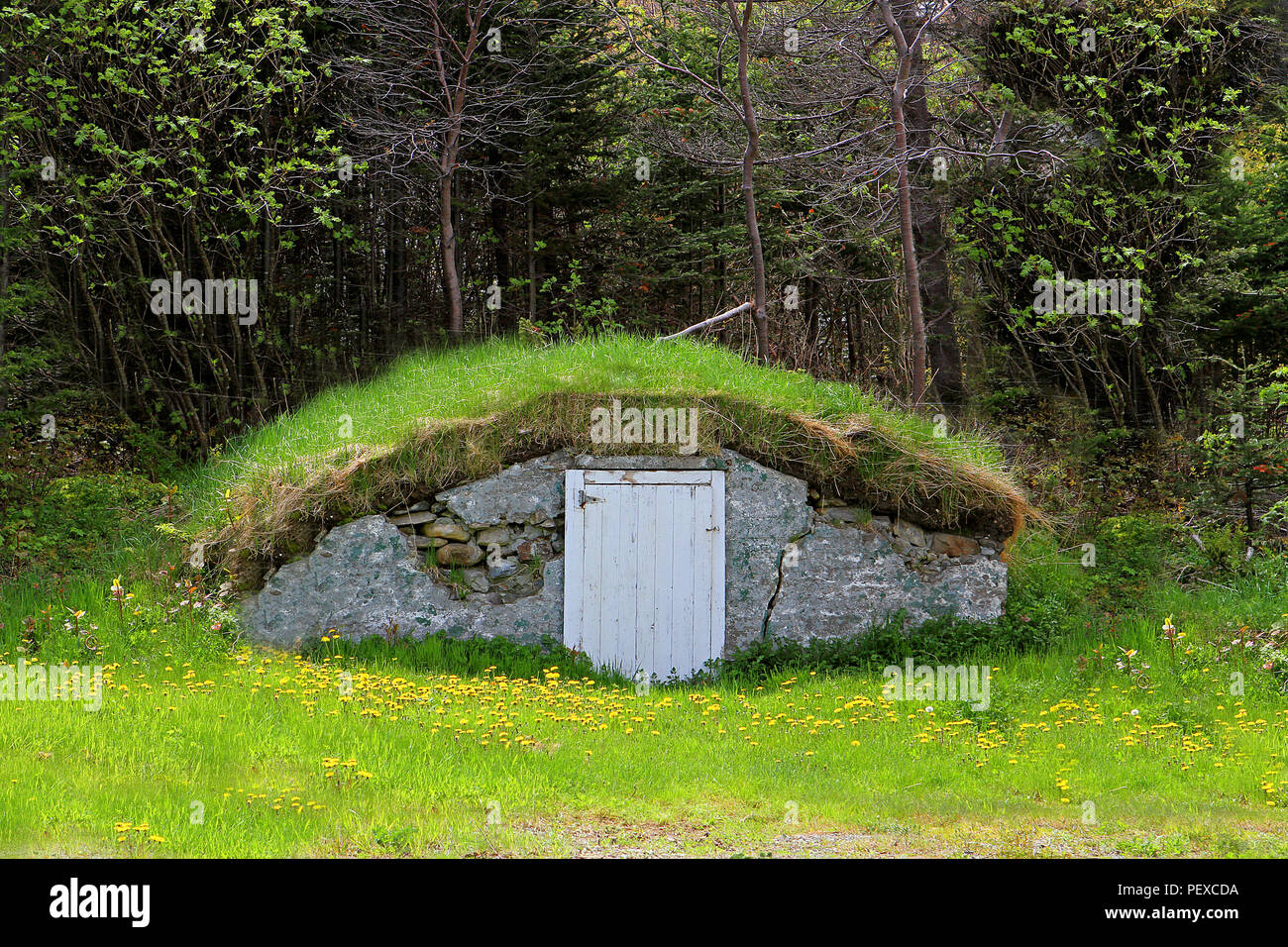 Storage Root Stockfotos & Storage Root Bilder - Alamy