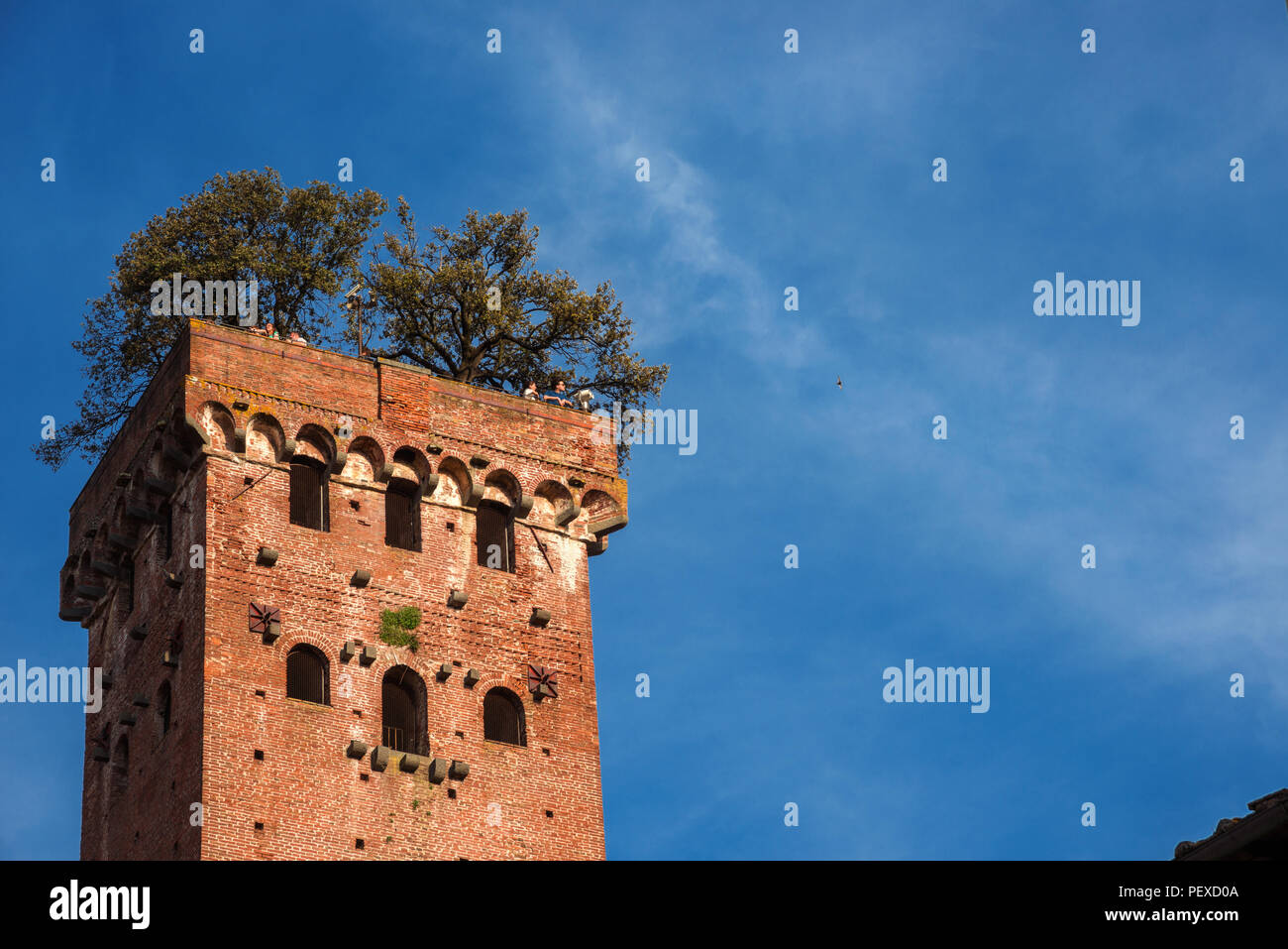 Die berühmten und charakteristischen Mittelalterlichen Guinigi Turm mit Eichen und Touristen an der Oberseite, errichtet im 14. Jahrhundert Stockfoto