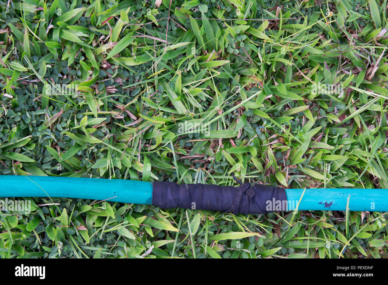 Gummischlauch für die Bewässerung von Pflanzen im Garten Stockfoto