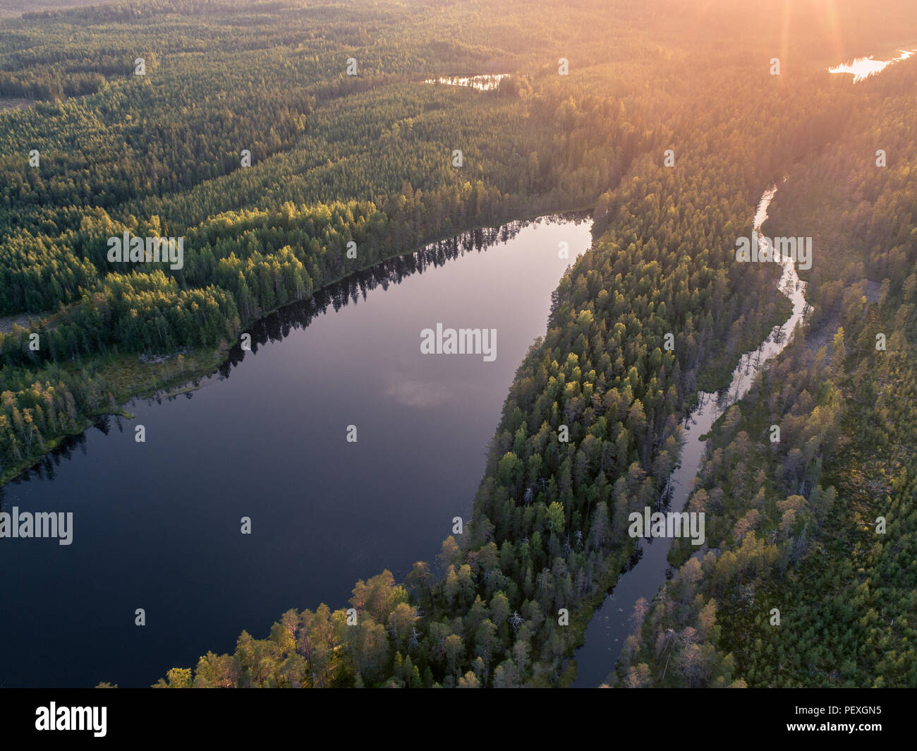 Luftaufnahme von Wald und See oder Teich im Borealen aka Taigawald in