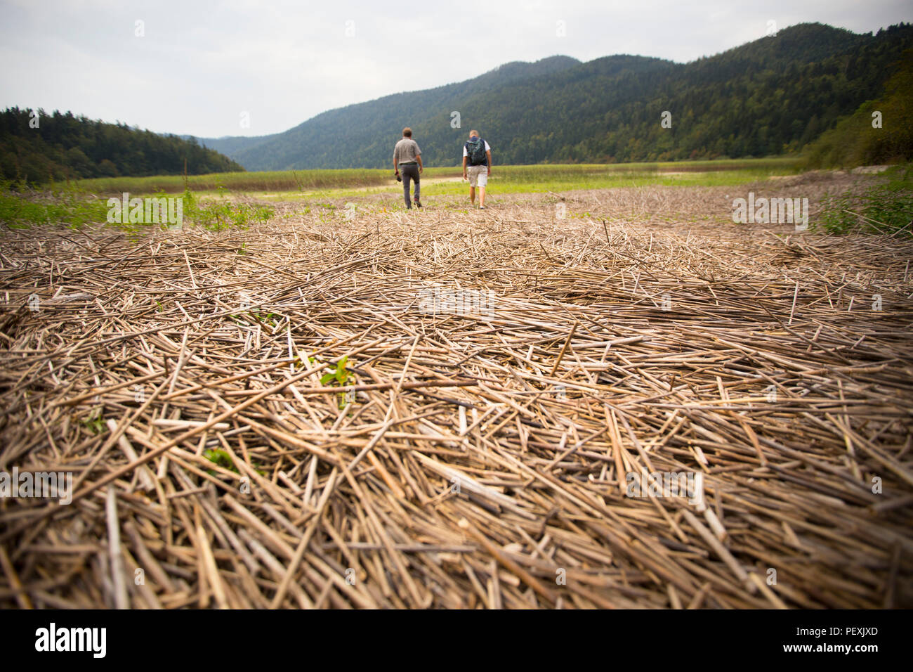 Zwei Forscher der getrockneten unten an der zeitweilig den Zirknitzer See im Karst in Slowenien im Sommer. Stockfoto