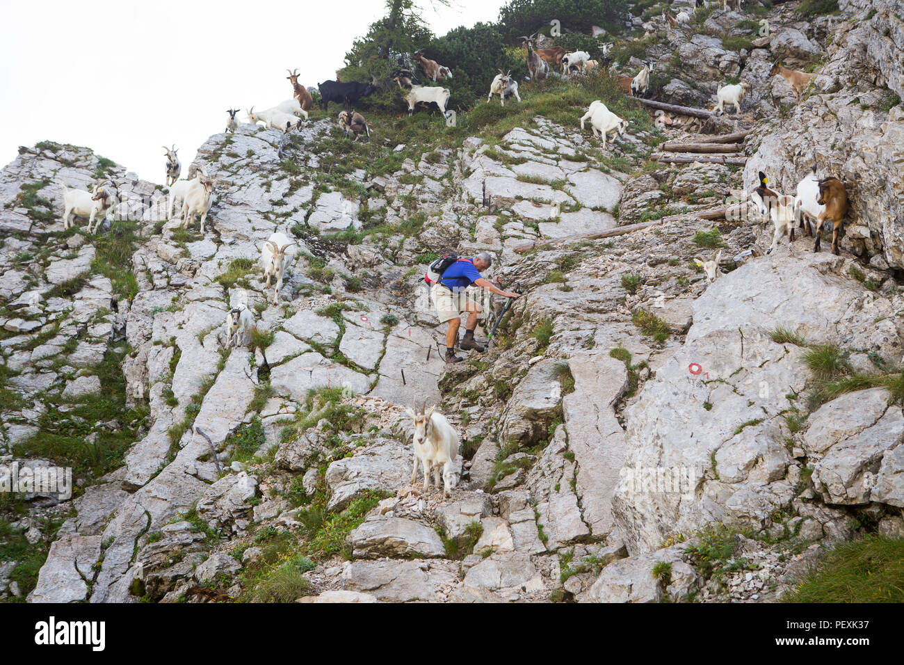 Vratca Pass in der Nähe von Mount Vogel, Nationalpark Triglav, Slowenien Stockfoto