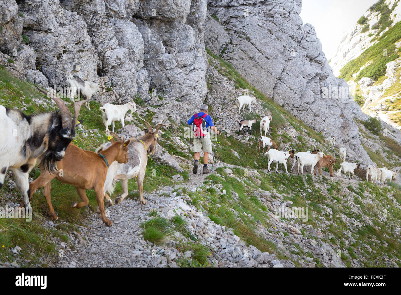 Vratca Pass in der Nähe von Mount Vogel, Nationalpark Triglav, Slowenien Stockfoto