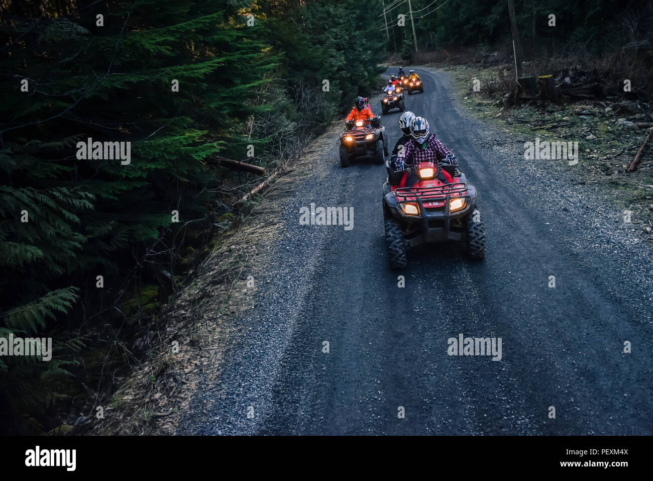 Gruppe von Menschen Quadbikes fahren im Wald, Callaghan Valley, Whistler, British Columbia, Kanada Stockfoto