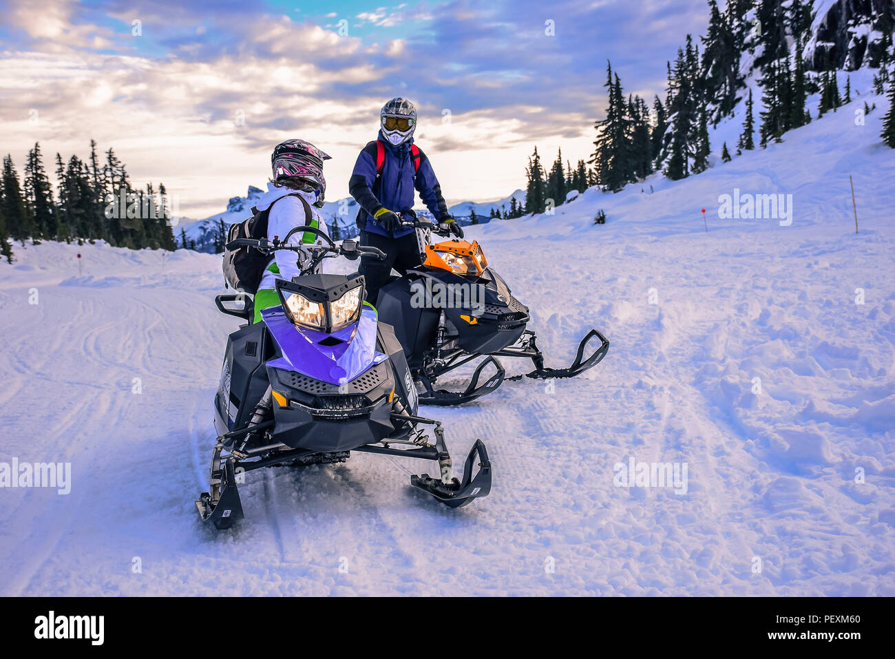 Die Menschen reden während Snowmobiling, Callaghan Valley, Whistler, British Columbia, Kanada Stockfoto