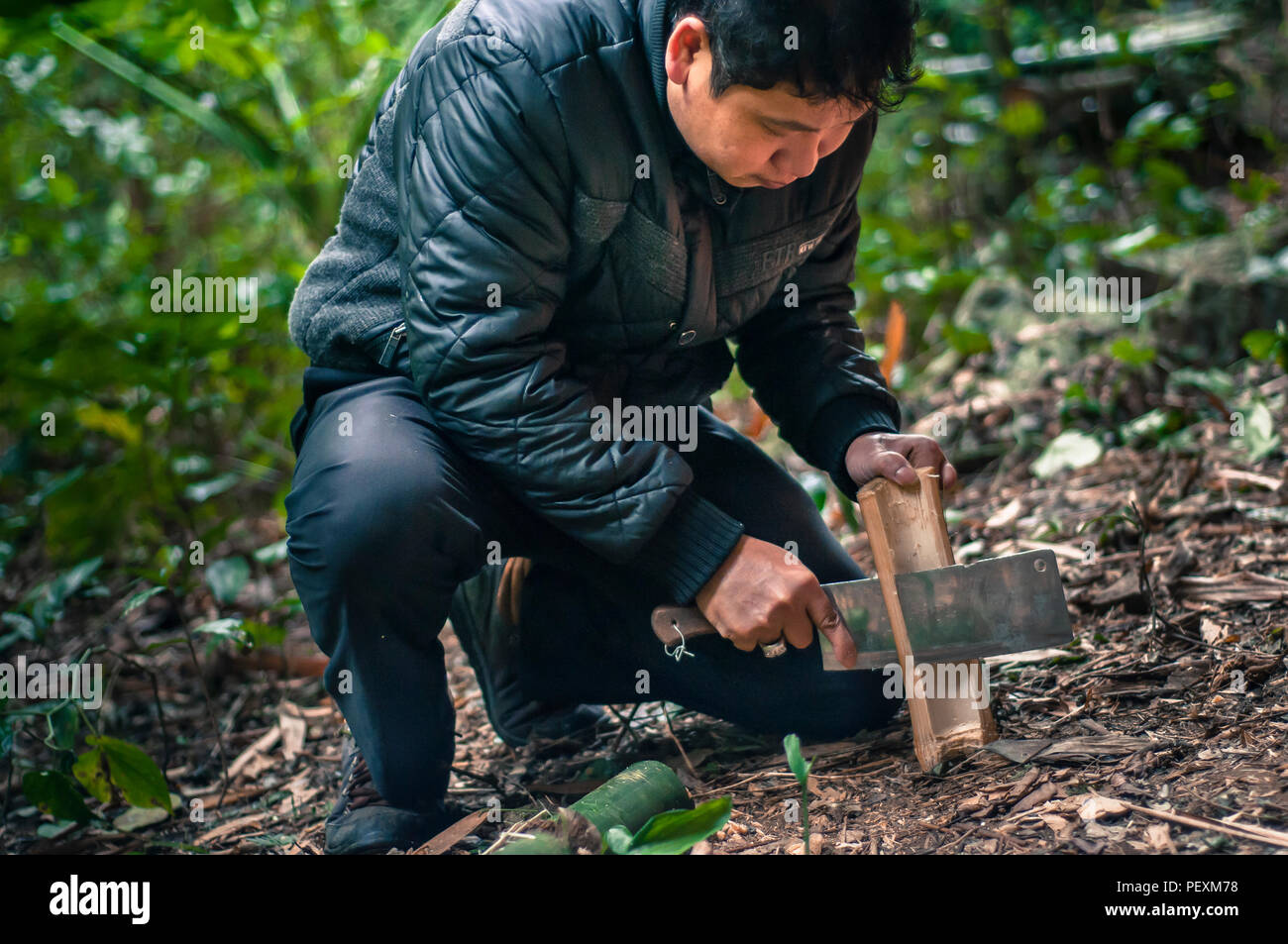 Man Bambus Hacken mit Machete im Hidden Valley, Insel Cat Ba, Quang Ninh, Vietnam Stockfoto