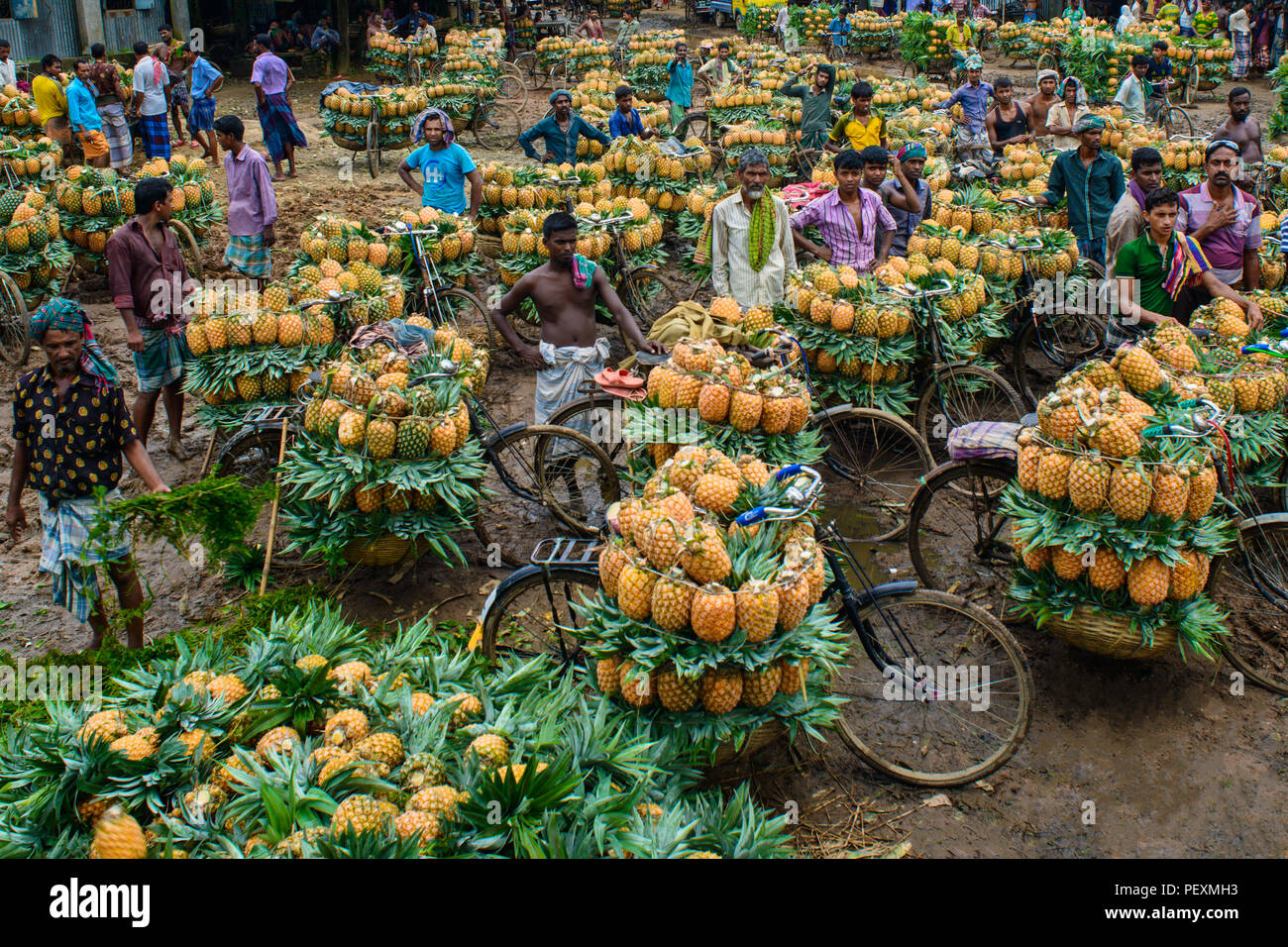 Ananas Markt Stockfoto