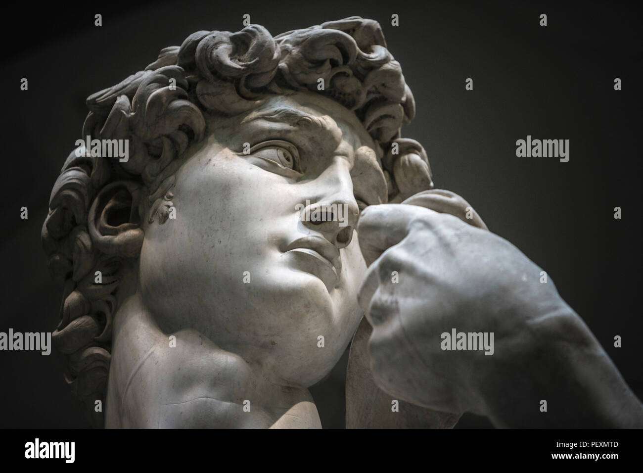 Kopf der Statue des David von Michelangelo, Galleria dell'Accademia, Florenz, Toskana, Italien Stockfoto Kopf der Statue des David von Michelangelo, Galleria dell'Accademia, Florenz, Toskana, Italien Stockfoto