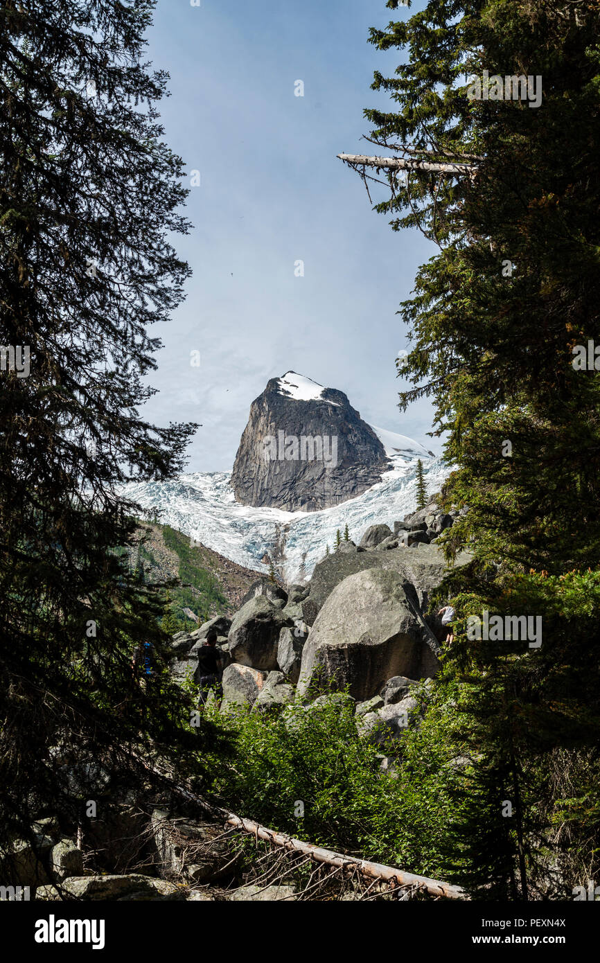 Jagdhunde Zahn, Bugaboo Provincial Park, British Columbia, Kanada Stockfoto