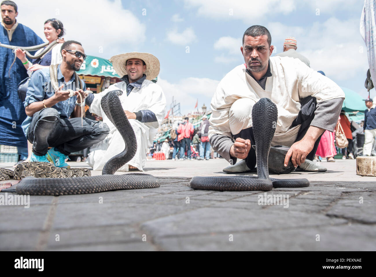 Schlangenbeschwörer in Djemaa El Fna in Marrakesch, Marokko Stockfoto