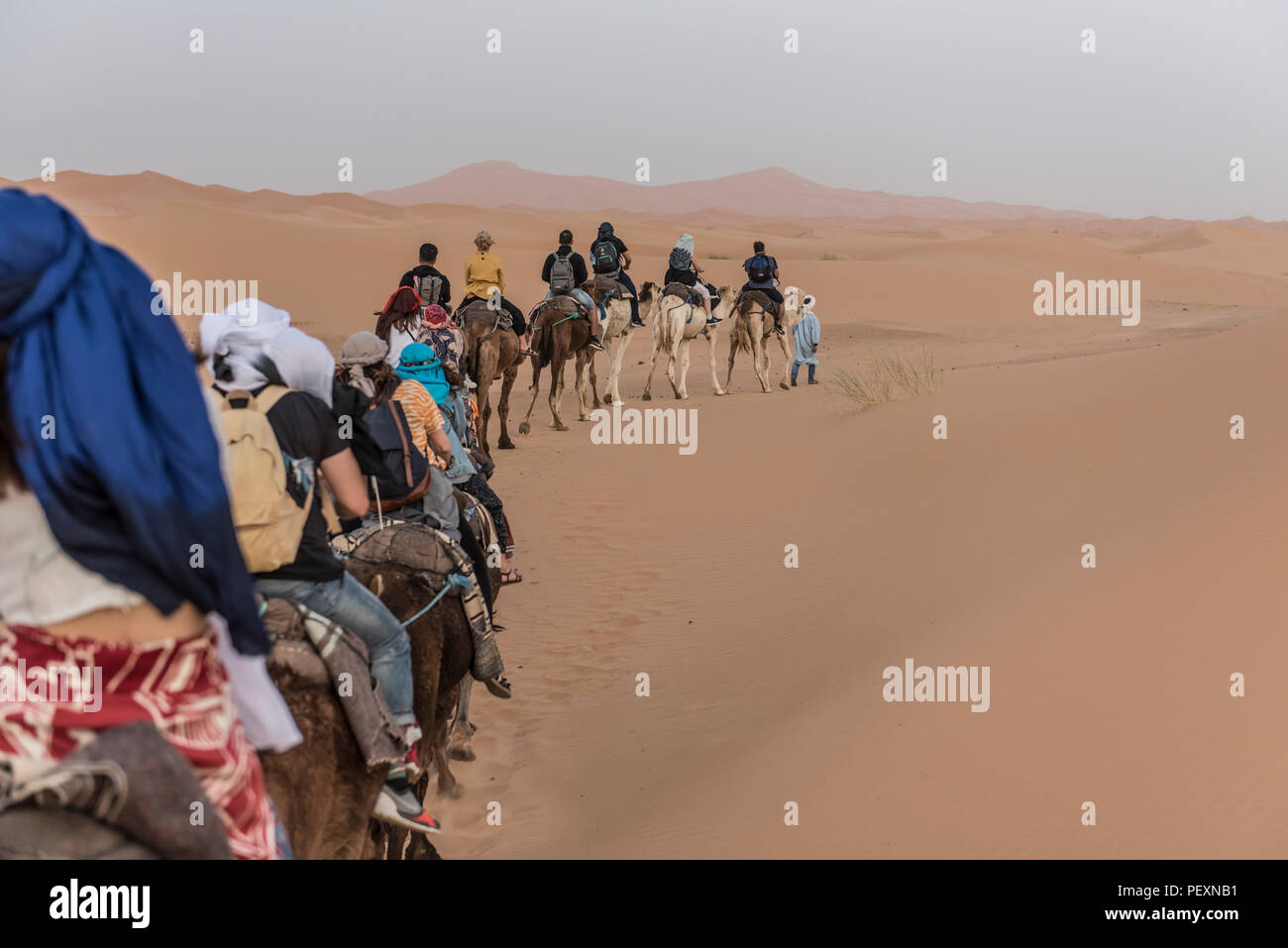Touristen reiten Kamele in der Wüste Sahara, Merzouga, Marokko Stockfoto