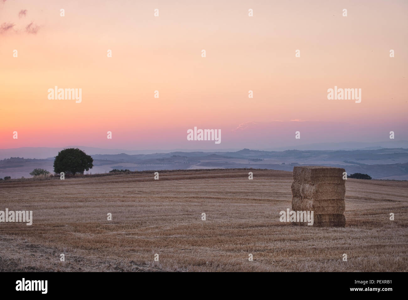 Foto des Feldes in der Toscana am Sonnenuntergang Stockfoto