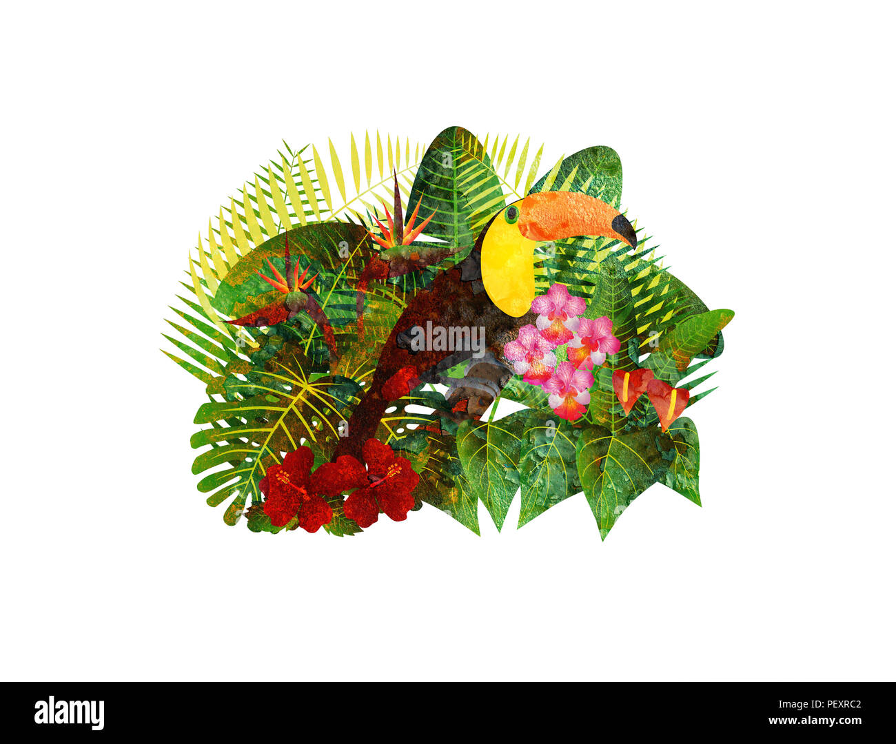 Tropischer Regenwald Dschungel Pflanzen mit Blättern, Blüten und Toucan Vogel Grunge Textur isoliert auf weißem Hintergrund Farbe Abbildung: Stockfoto