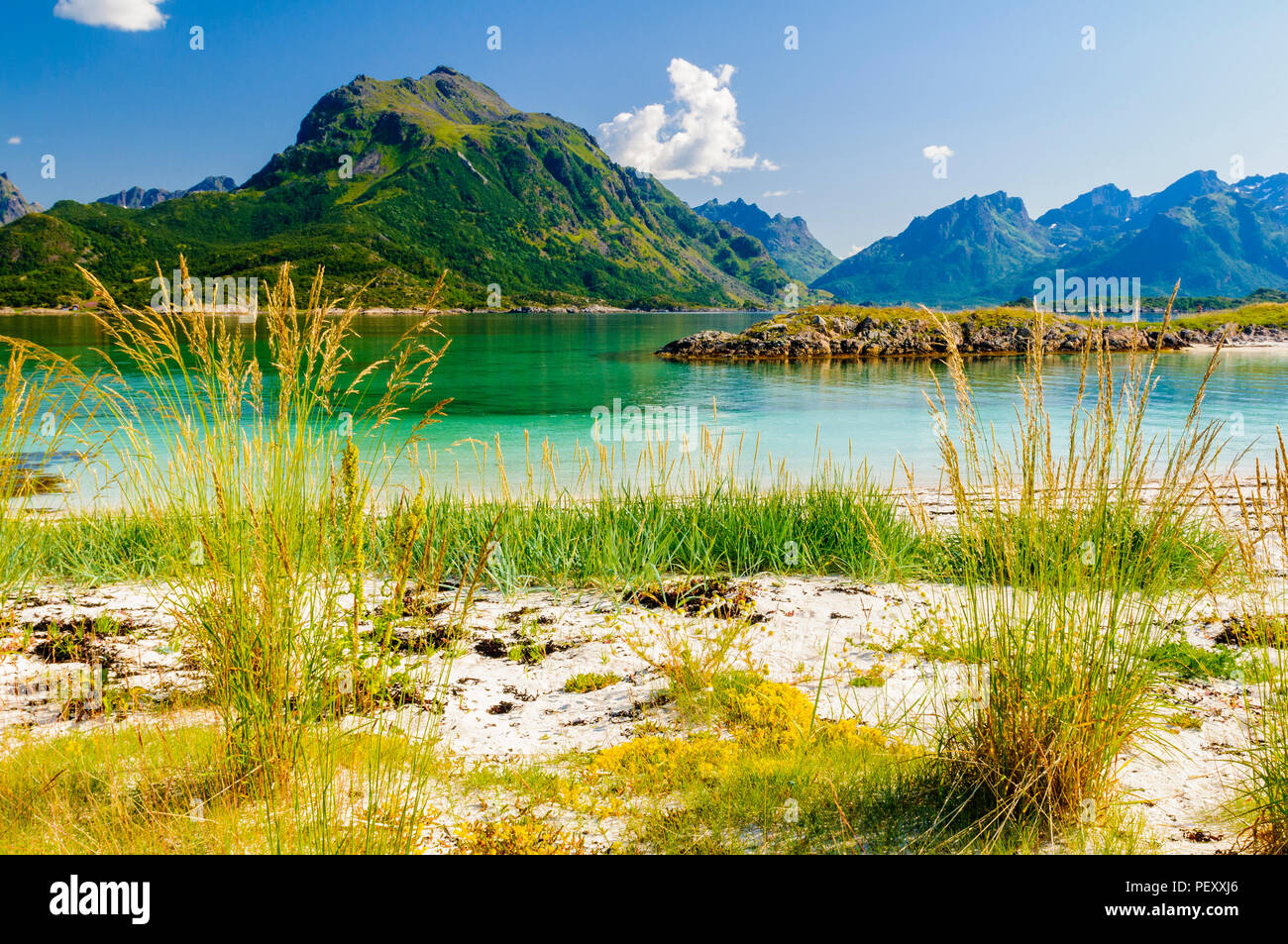 Sandøya, Lofoten in Nordnorwegen mit seinen vielen weißen Stränden. Stockfoto