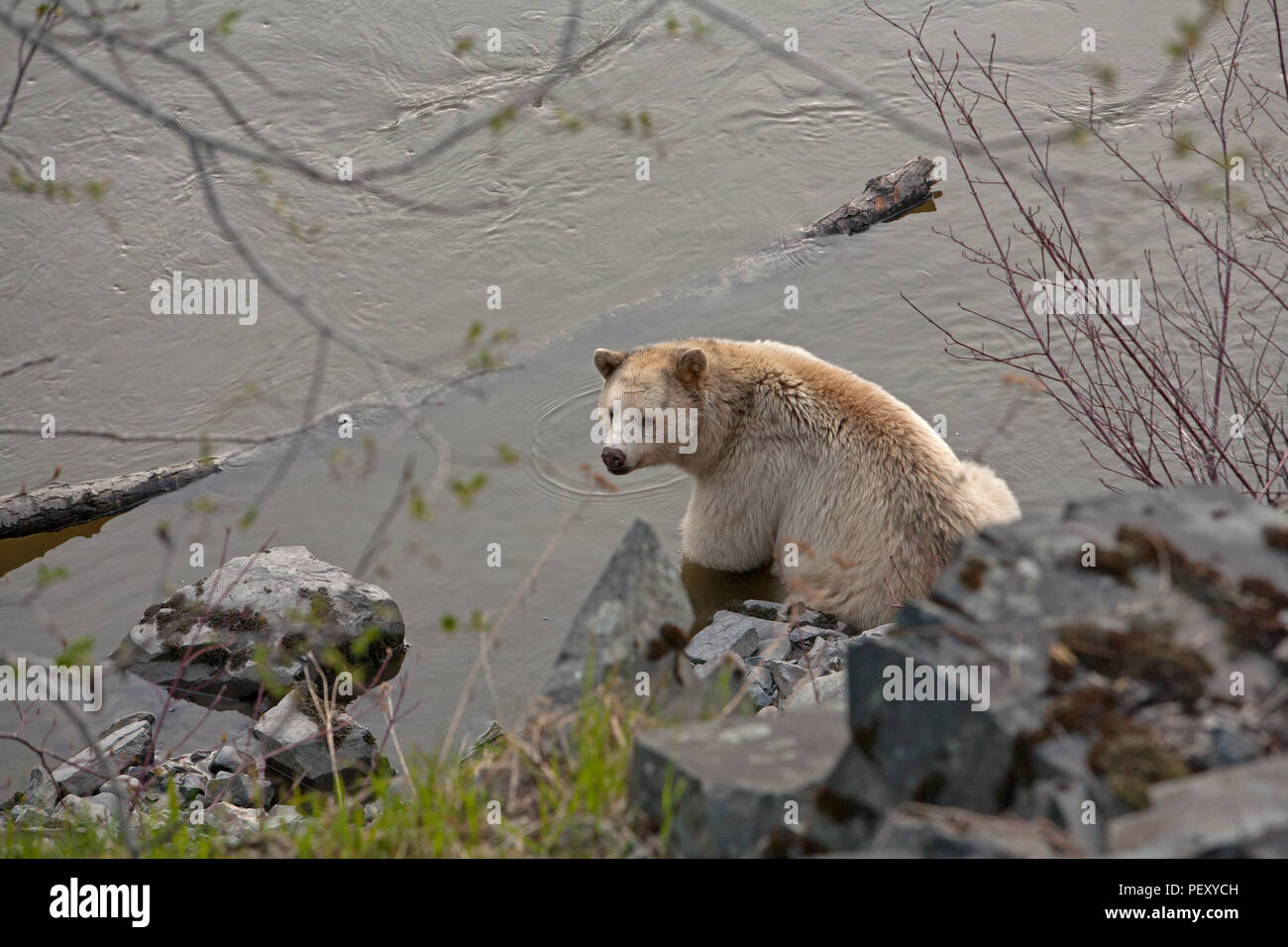 Geistes tragen und um Ufer Stockfoto