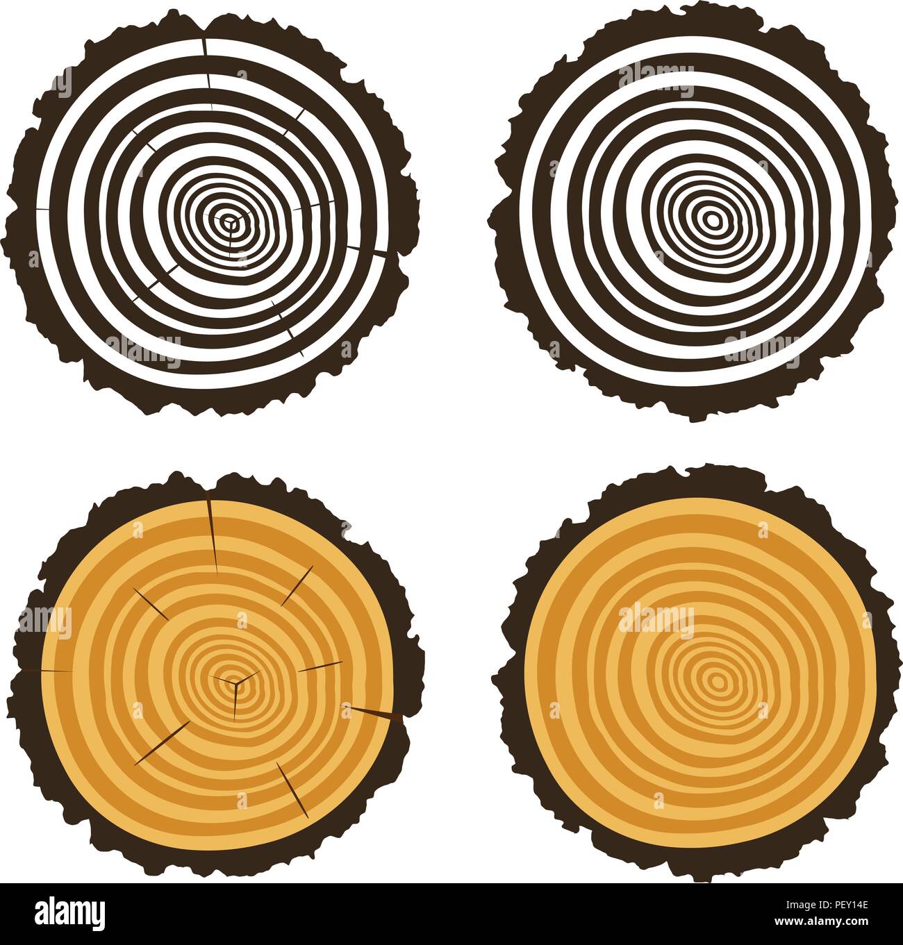 Vektor Holz schneiden von einem Baum mit konzentrischen Ringen und Rinde, Stamm Textur mit rauen Kreise auf weißem Hintergrund anmelden Stock Vektor