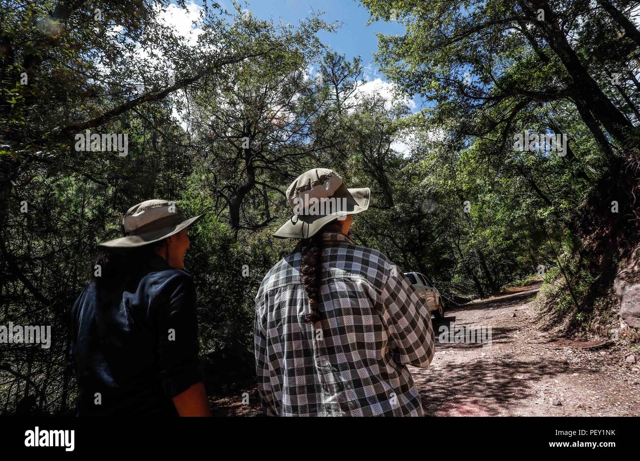 Sobreros para el Sol patrocinados por Columbia, Ropa de Campo. Actividad de  Campo, Ropa de Campo, sombrero de Campo, Sombrero para el Sol, sombrero  Kolumbien. Mujeres usando Sombrero, Ropa laboral y complementos