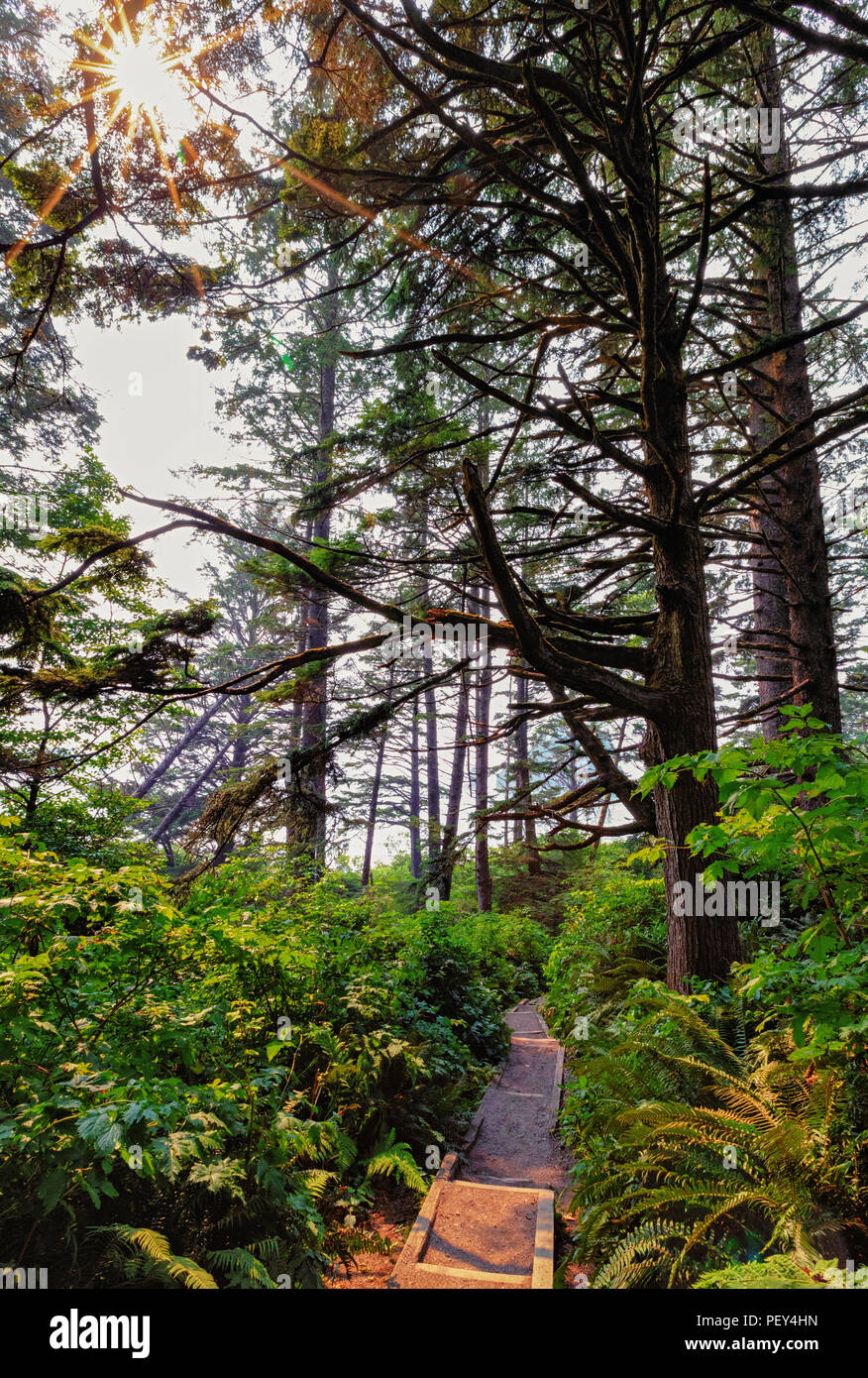 Zweiten Strand Wanderweg in La Push, Washington State, Olympischen Küste. Stockfoto