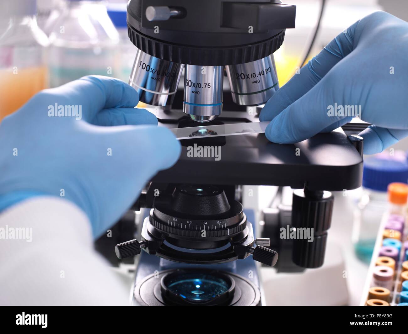Nahaufnahme eines Wissenschaftlers Inverkehrbringen eine Folie mit einem menschlichen Probe unter einem Lichtmikroskop für medizinische Prüfung. Stockfoto
