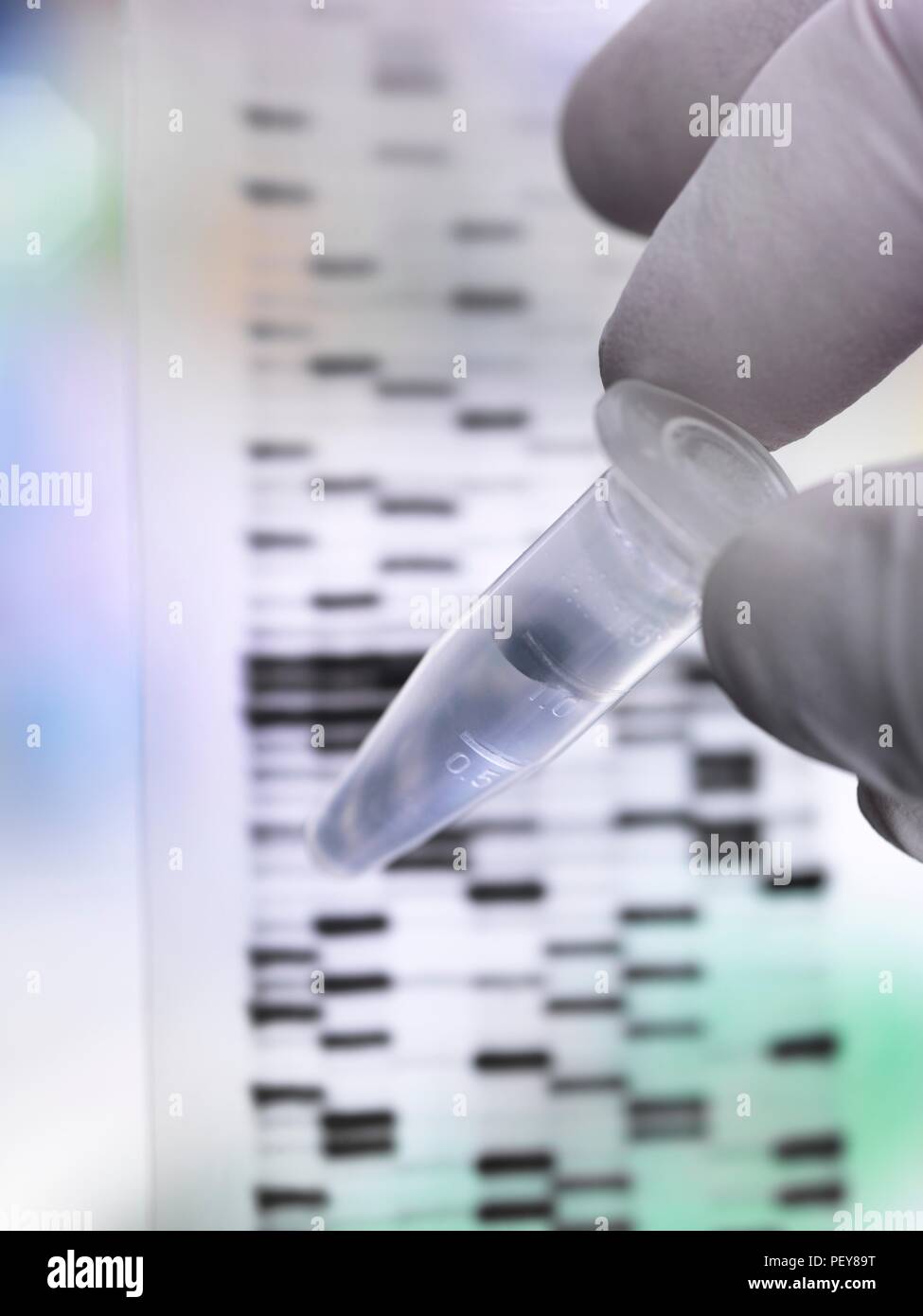 Wissenschaftler halten eine DNA (Desoxyribonukleinsäure) Probe in ein Rohr mit der Ergebnisse auf einem DNA gel dargestellt. Stockfoto