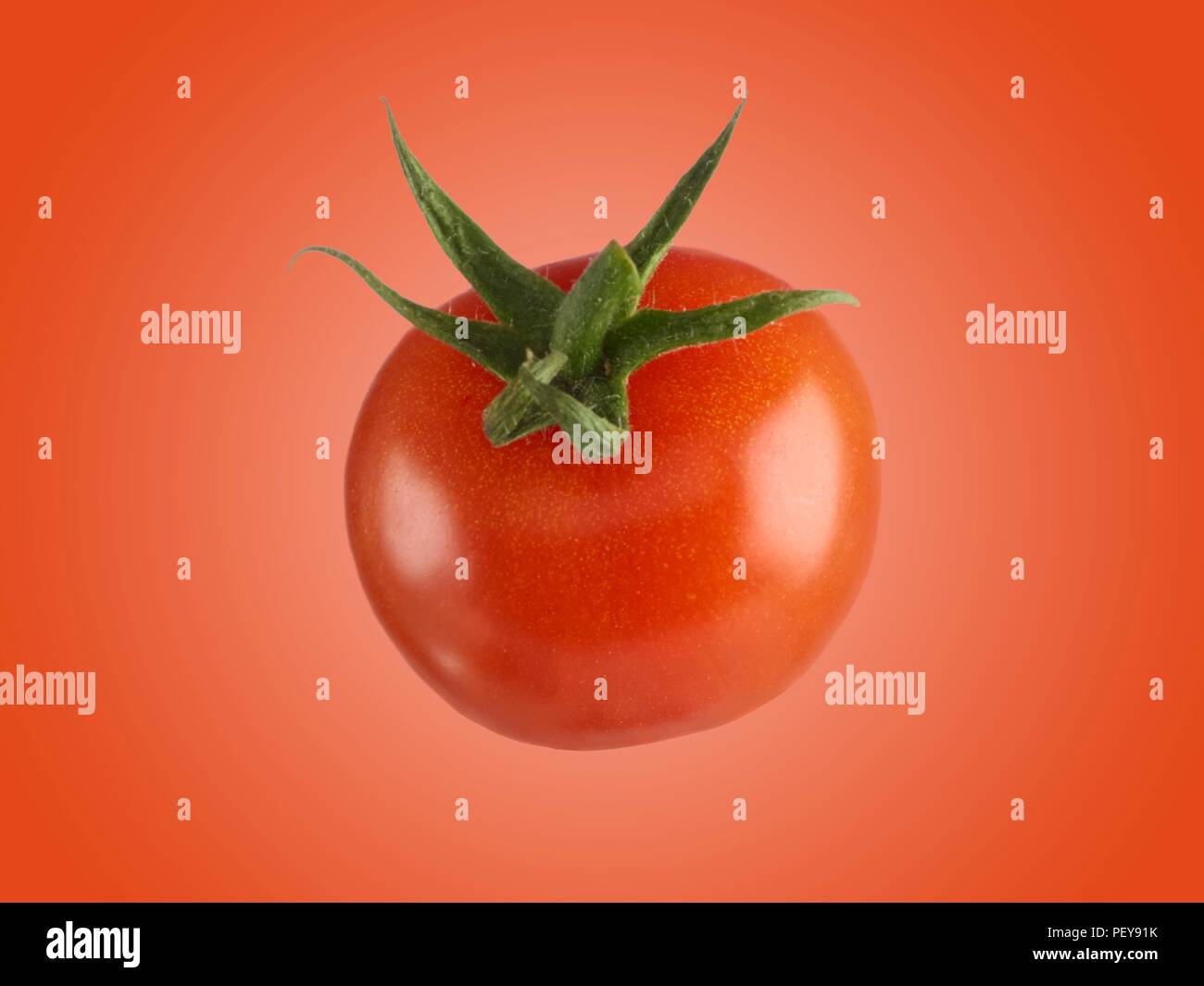 Tomaten. Stockfoto