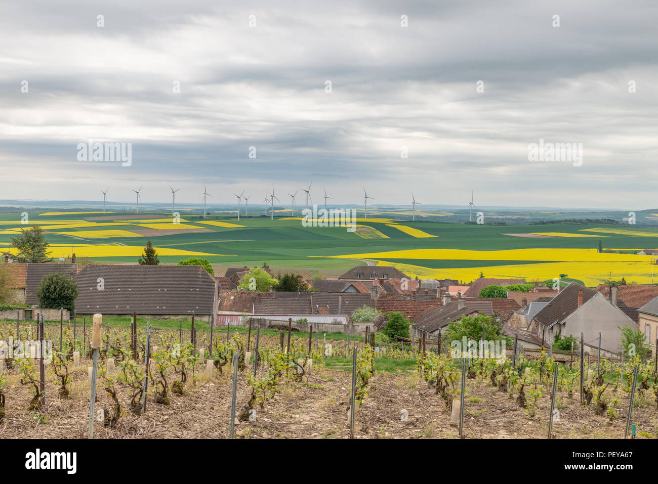 Dorf Bethon, Frankreich mit Raps Feldern und Windkraftanlagen in der Ferne und Weinberg im Vordergrund. Stockfoto