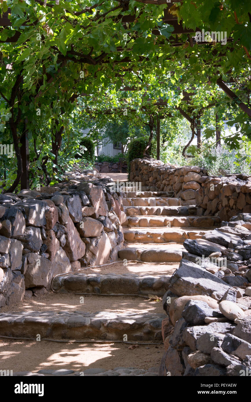 Weinlaube mit Rock zu Fuß. Stockfoto