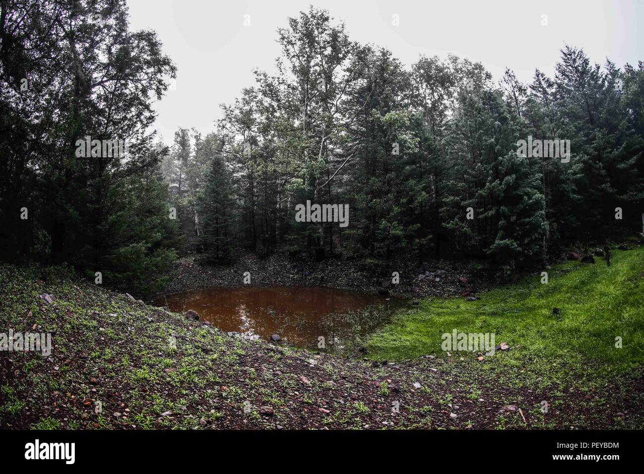 Neblina. Nebel. Verde paisaje y Bosque de Pinos en La Cueva Tres Rios, Sonora, Mexiko. Sierra Madre Occidental. Grüne Landschaft und Pinienwald in La Cueva Tres Rios, Sonora, Mexiko. Sierra Madre Occidental. (Foto: LuisGutierrez/NortePhoto.com) Madrense de Expedición Entdeckung GreaterGood ORG que recaba datos que Syrvaine como Información de Direct para entender mejor las Relaciones biológicas del Archipiélago Madrense y se Usan para proteger y conservar las Tierras de las Islas vírgenes Sonorenses Serranas. Binacional Expedición aye une ein colaboradores de México y Estados Unidos con exp Stockfoto