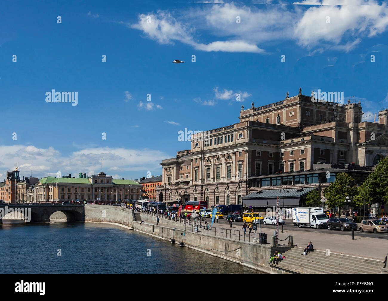 Möwe fliegt über Malaren Wasserstraße mit historischen Royal Opera House und viel Verkehr auf der Suche Stockfoto