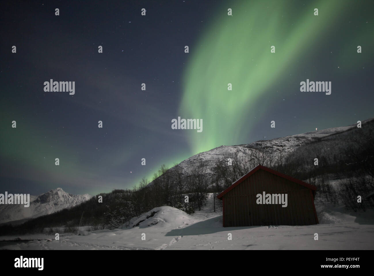 Die Nordlichter, Norwegen Stockfoto
