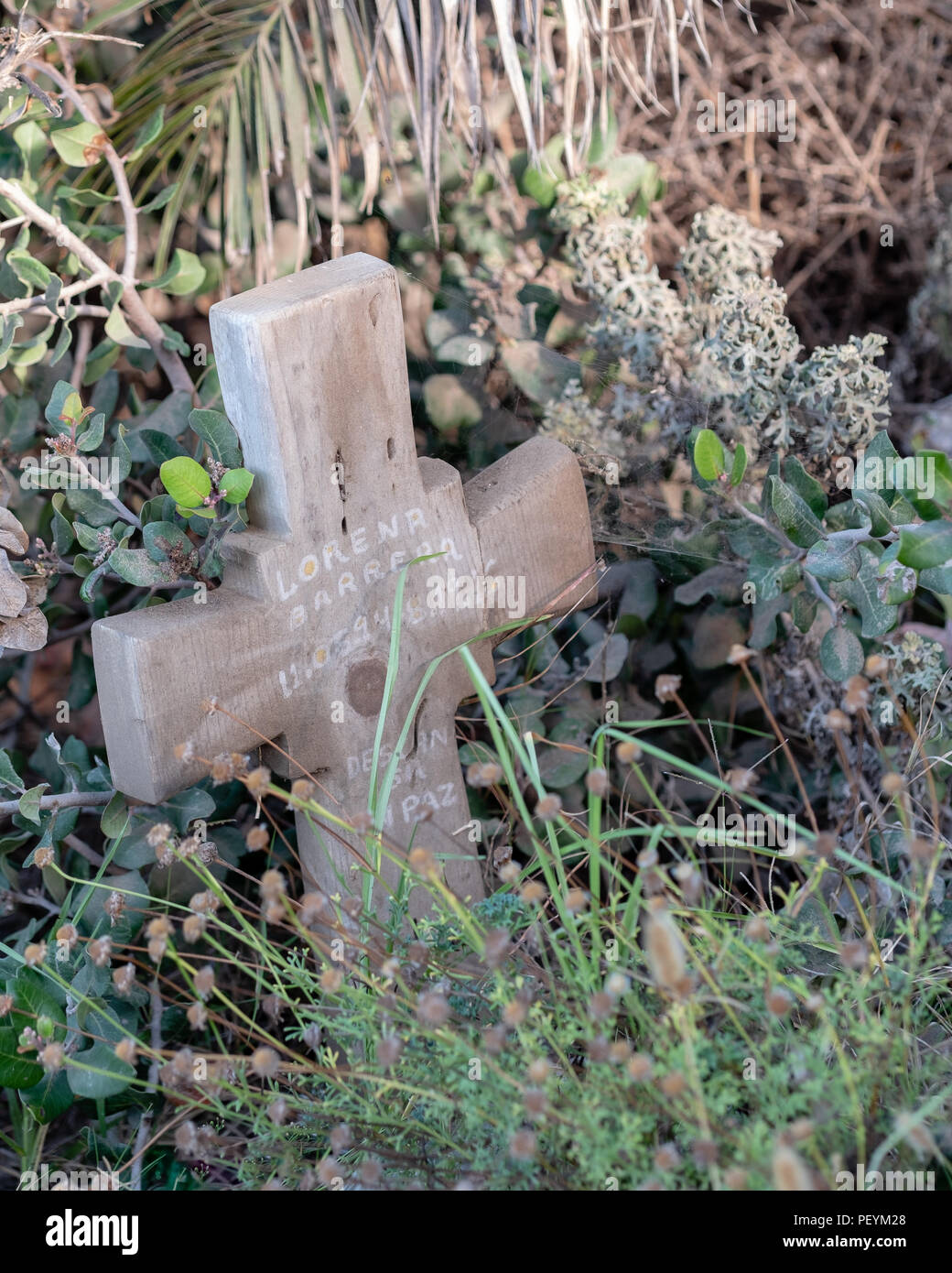 Eine Klippe Rand memorial Cross am Point Fermin in San Pedro, CA. Die Schönheit seiner gefährlichen Klippen lockt viele Menschen jenseits der Sicherheitsbarriere. Stockfoto