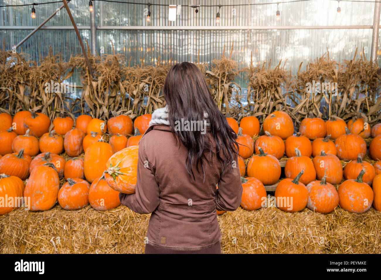 Eine junge brünette Frau mit einem Kürbis vor eine Reihe von Kürbisse auf einem Bauernhof. Stockfoto