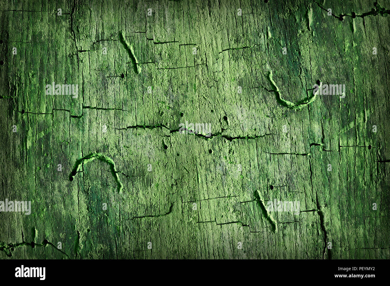 Alten grünen Holz Textur. Zusammenfassung Hintergrund. Stockfoto