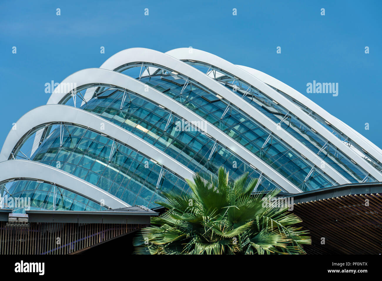 Singapur - 11. August: Dach der Kuppel in die Gärten an der Bucht Stockfoto