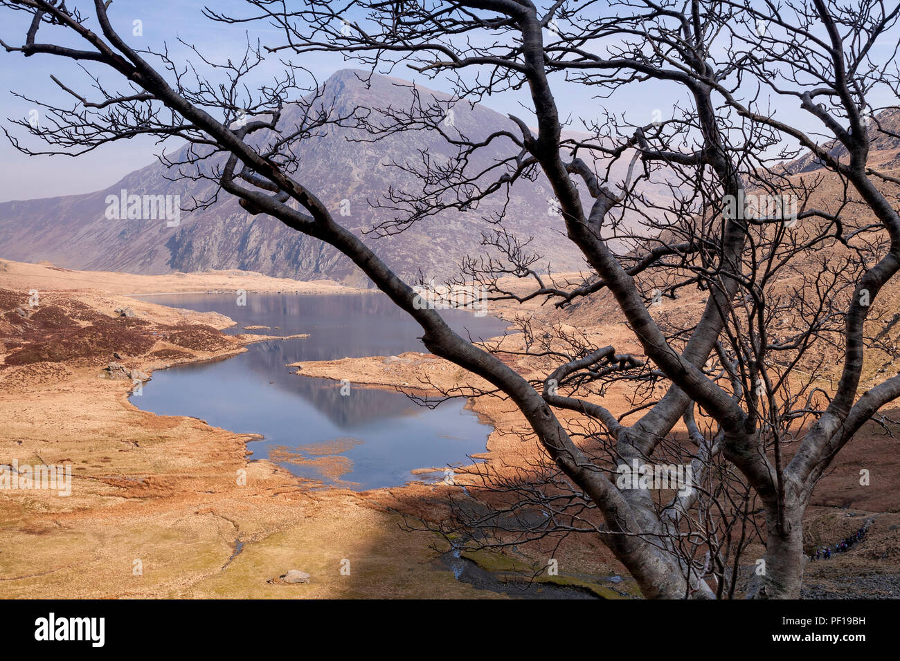 Pen Jahr Ole Wen Berg in der Carneddau, Snowdonia, North Wales Stockfoto