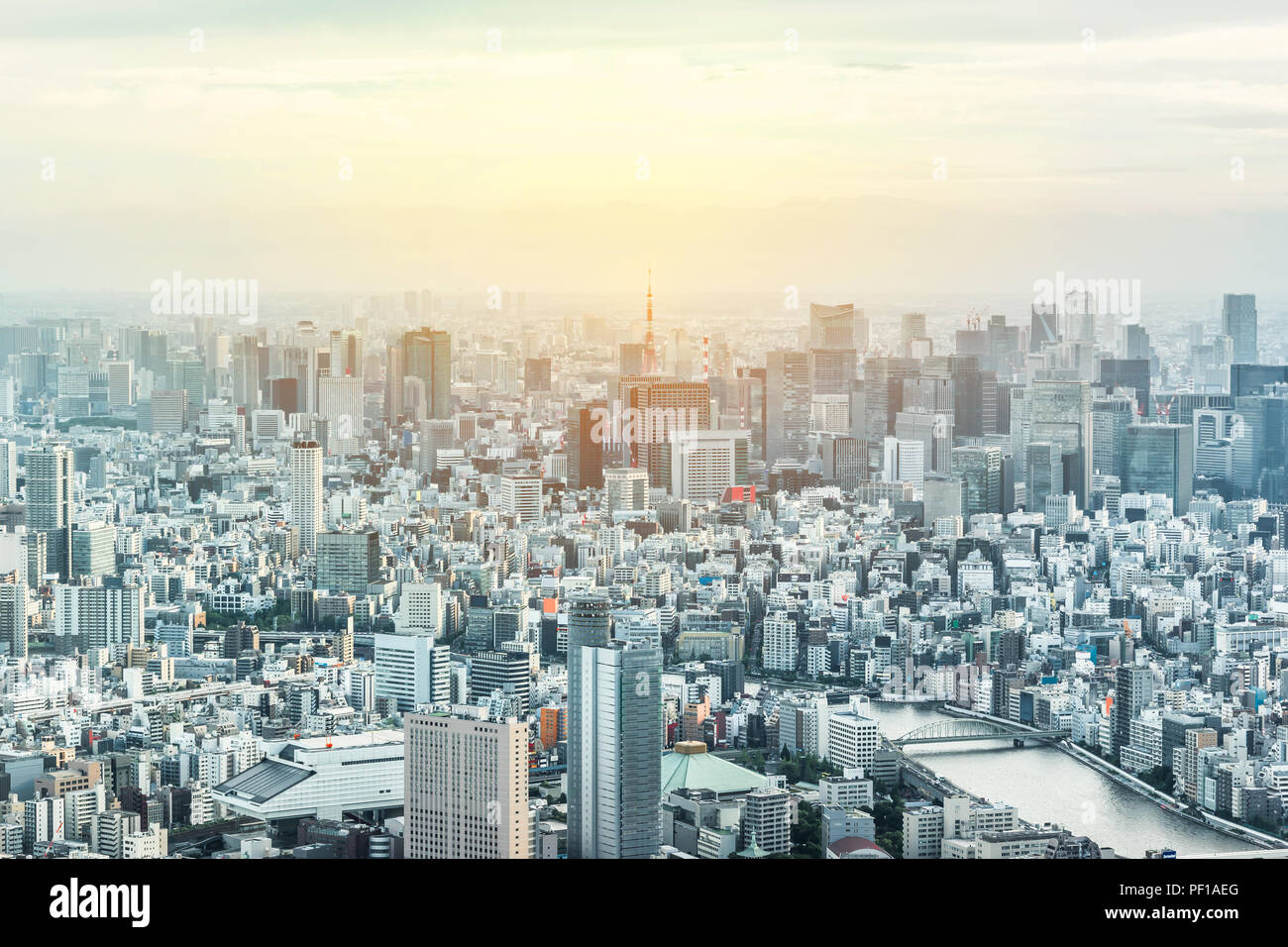 Asien Business Konzept für Immobilien und Corporate Bau - Panoramablick auf die City Skyline Luftbild unter Dämmerung Himmel und Golden Sun in Tokio Stockfoto