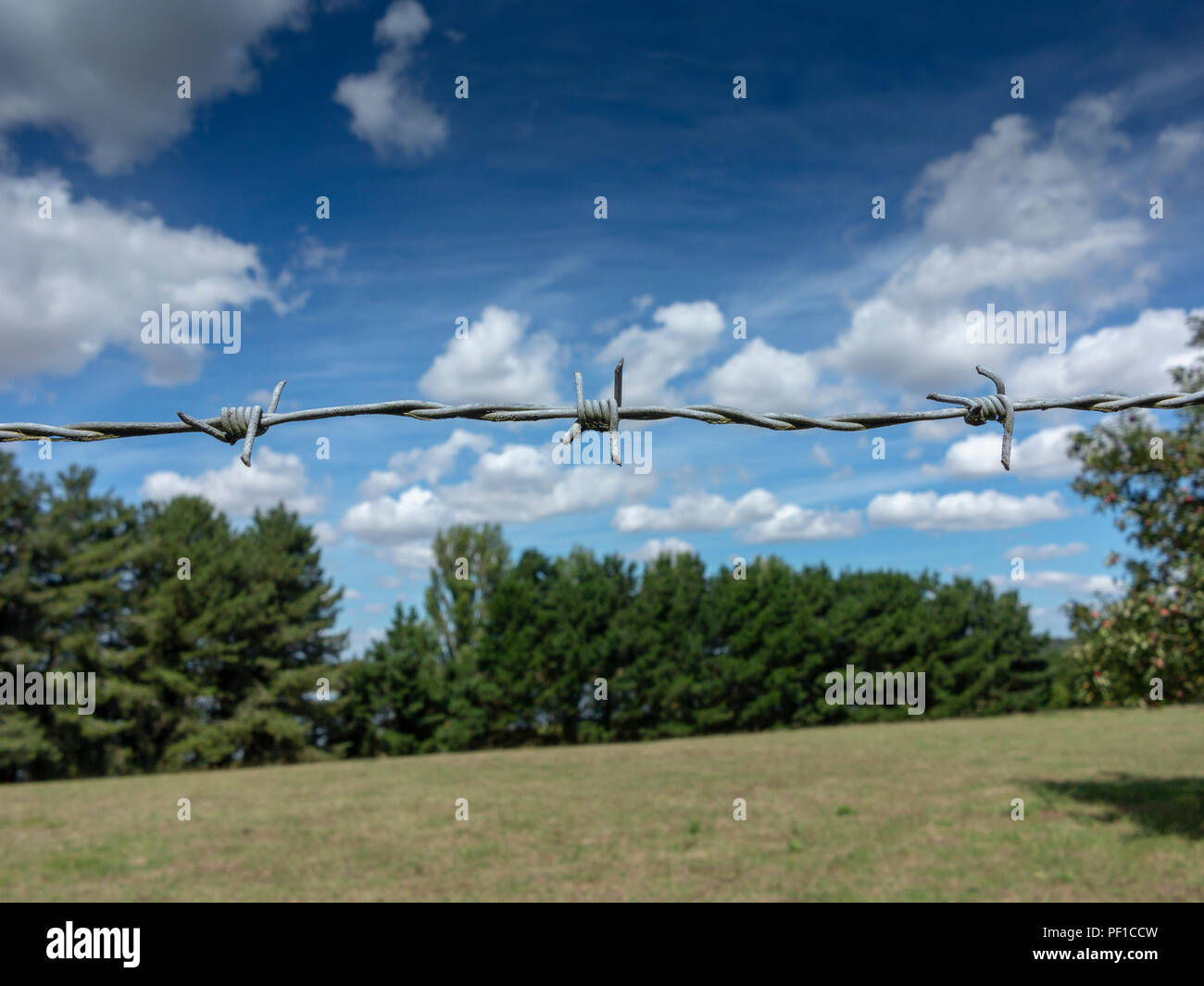 Eine Nahaufnahme von einem Abschnitt der Stacheldrahtzaun mit Bäumen Himmel und Feld im Hintergrund Stockfoto