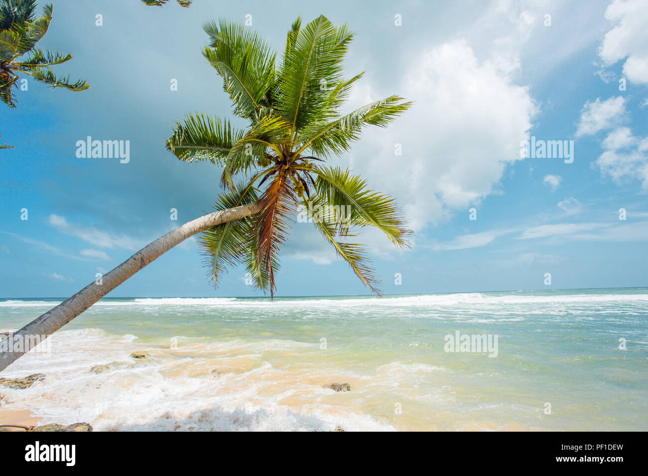 Unberührten tropischen Strand von Sri Lanka. Akurala Strand. Stockfoto