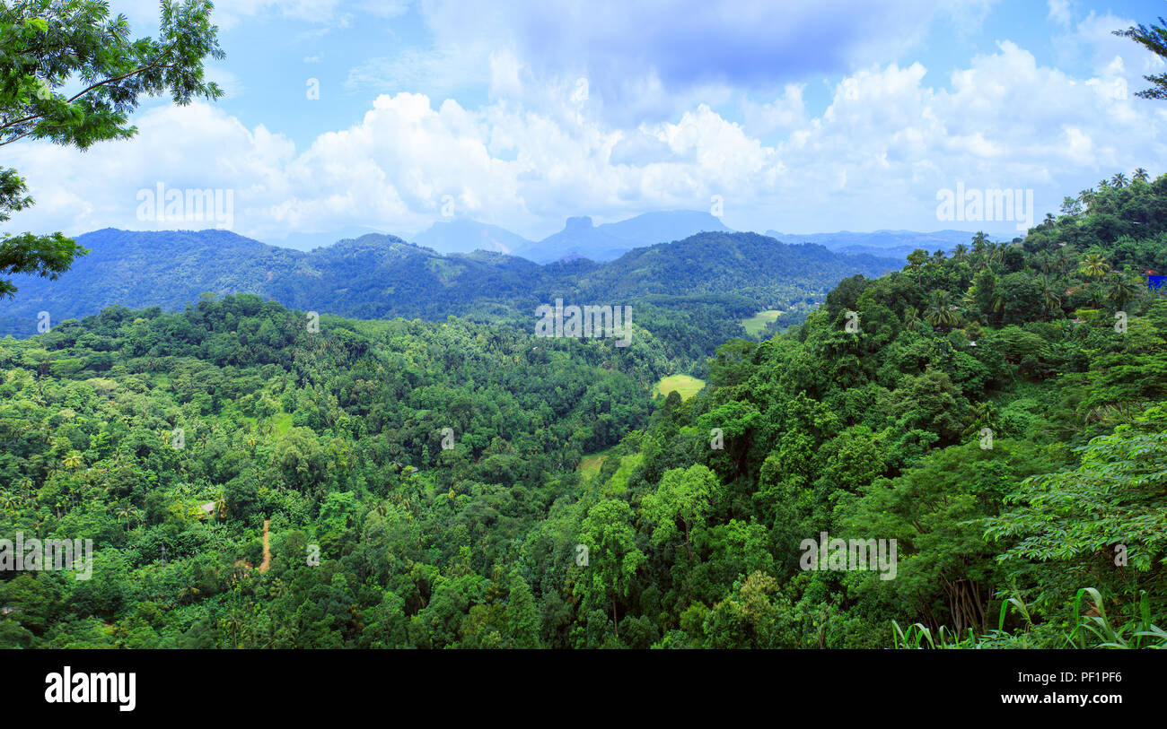 Blick auf das Tal in der Stadt Kandy. Sri Lanka. Stockfoto