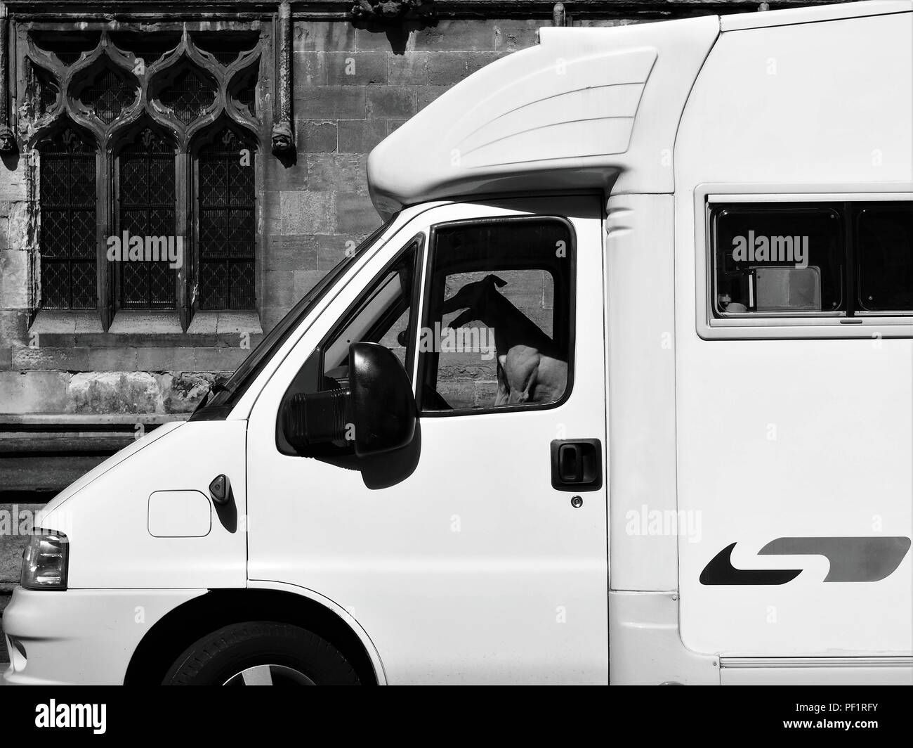 Ein Hund saß in der Kabine des Wohnmobil und sieht aus, als wenn es das Fahren ist, durch Rumpf Münster, Kingston Upon Hull, East Riding von Yorkshire, England, Großbritannien Stockfoto