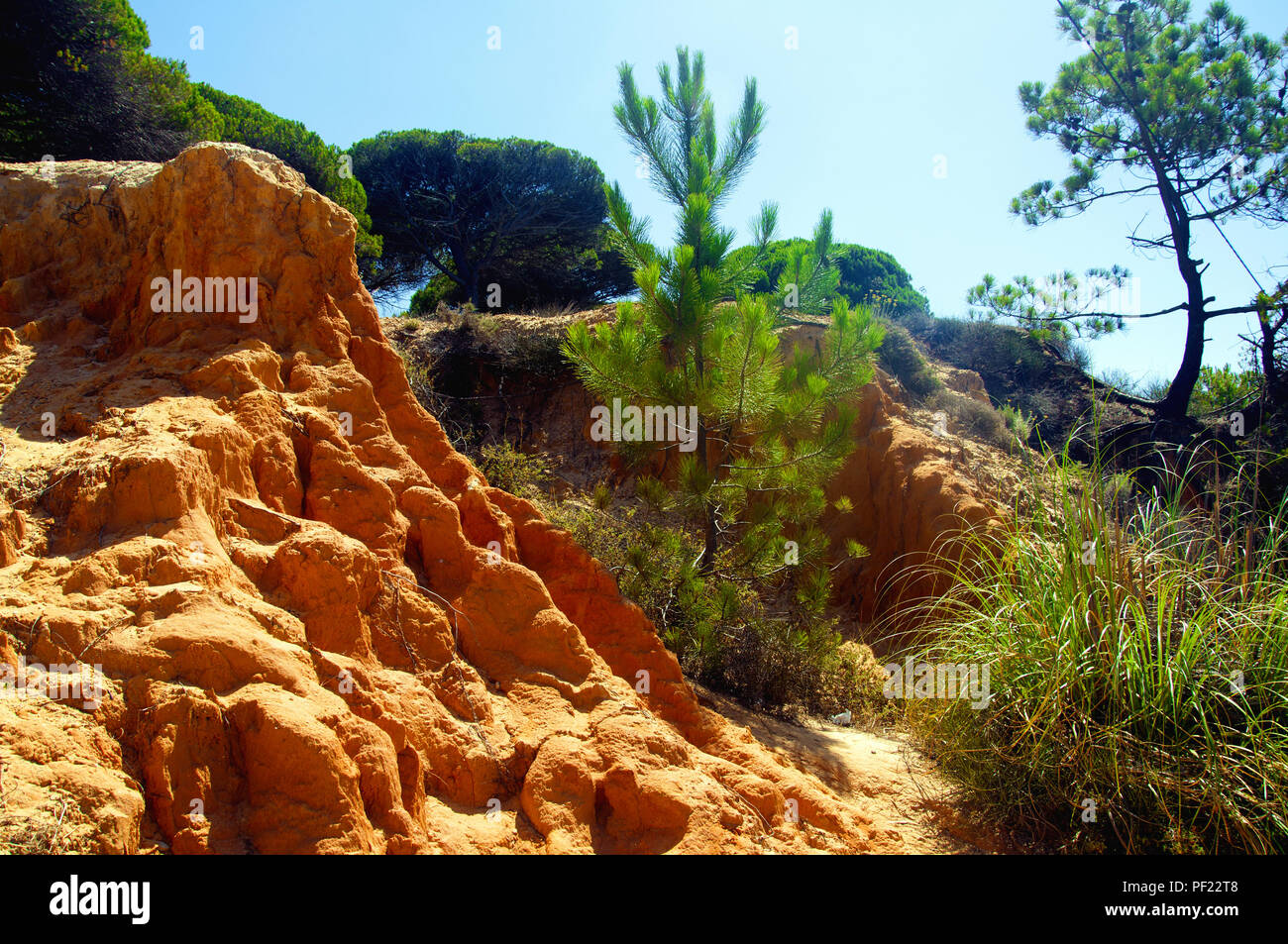 Kleine Schlucht Berge und Pinien in Portugal, Sommer Stockfoto